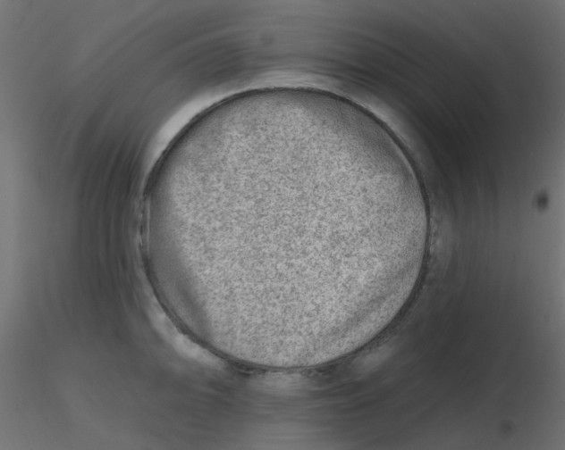 X0000116631094200912312154