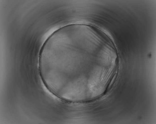 X0000116631095200912312154