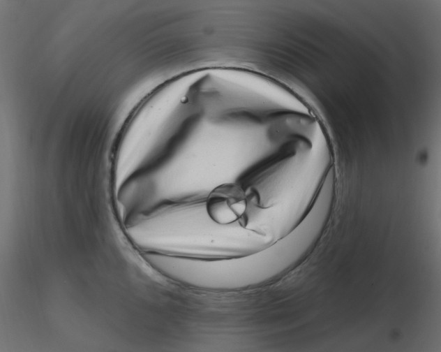 X0000116631096200912312154