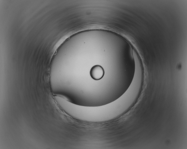 X0000116631097200912312154