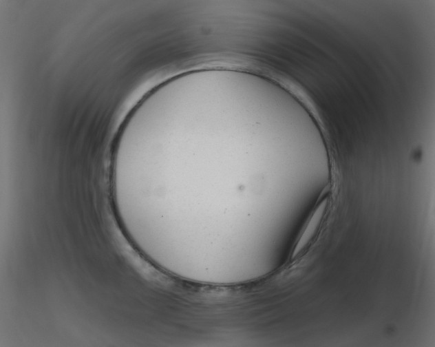 X0000116631099200912312154