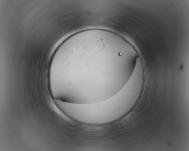 X0000116631100200912312154