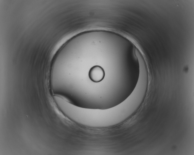X0000116631101200912312154
