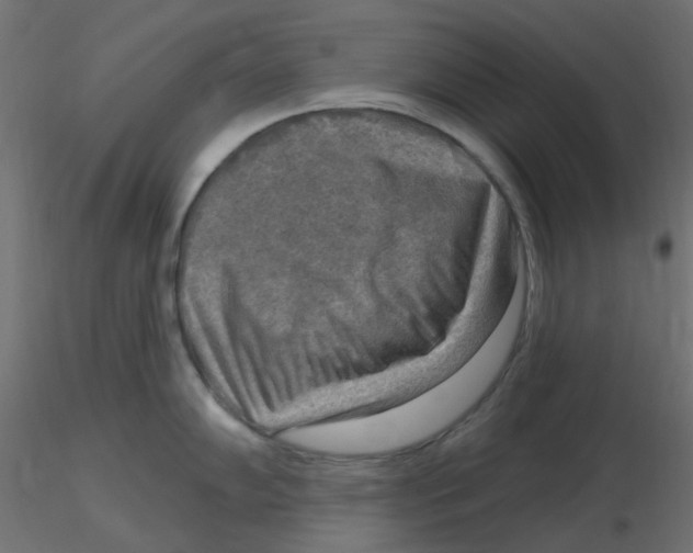 X0000116631102200912312154
