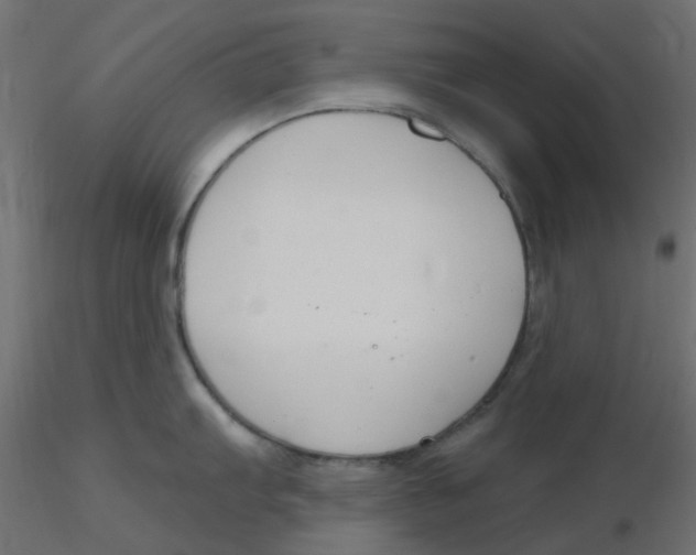 X0000116631103200912312154