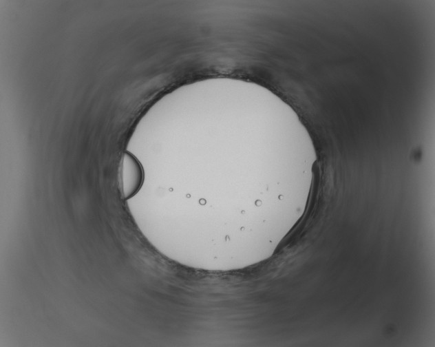 X0000116631105200912312154