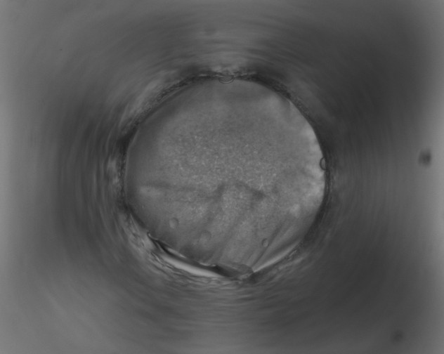 X0000116631106200912312154