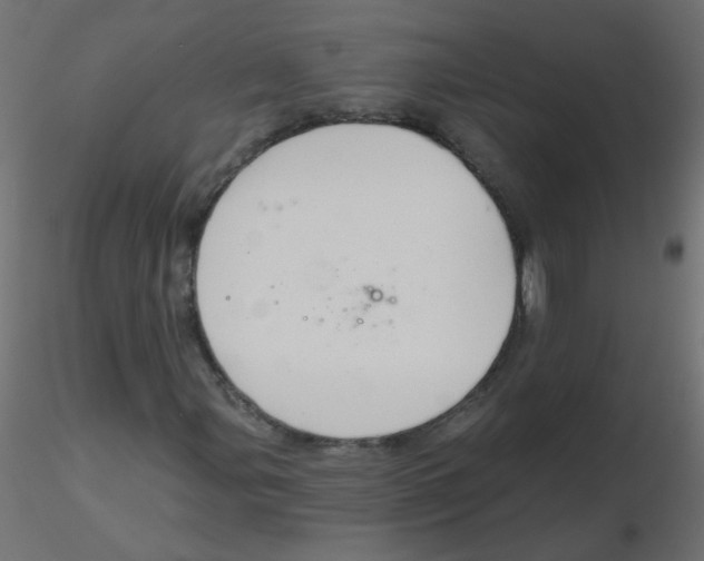 X0000116631107200912312154