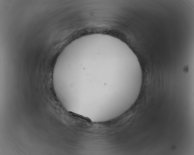 X0000116631109200912312154