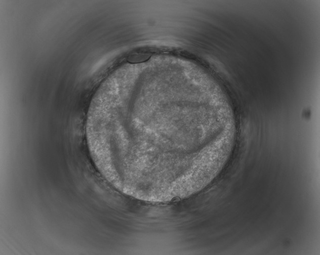 X0000116631110200912312154