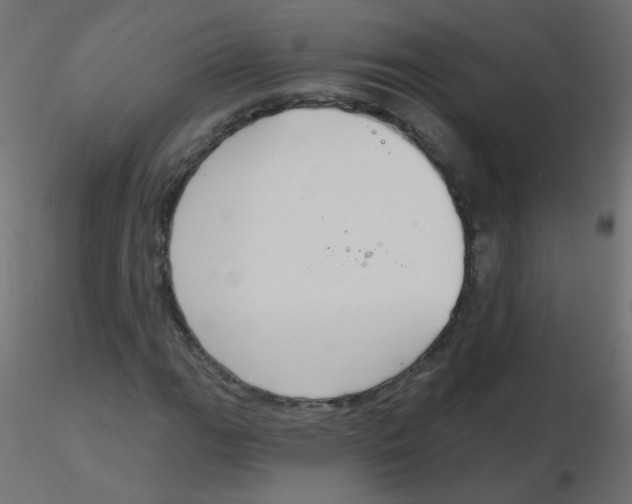 X0000116631111200912312154