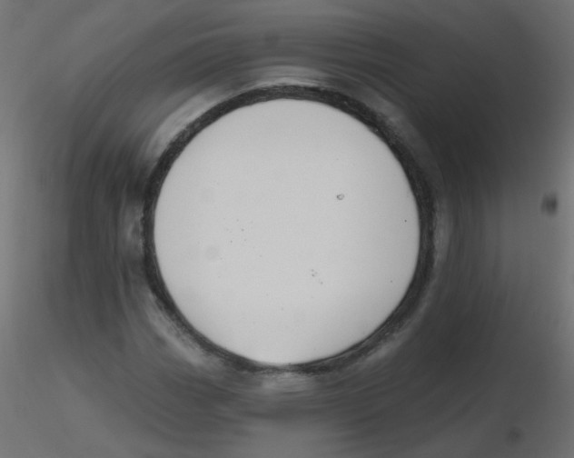 X0000116631113200912312154