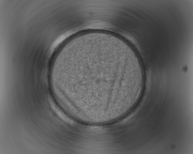X0000116631114200912312154