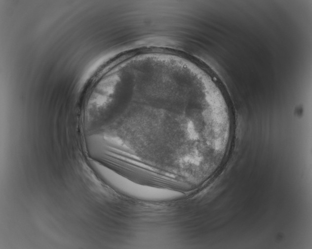 X0000116631115200912312154