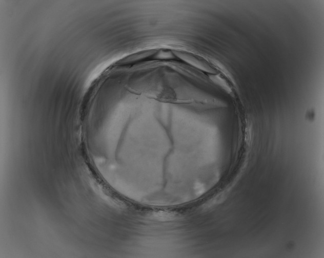 X0000116631117200912312154