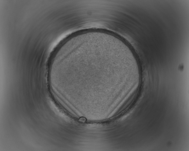 X0000116631118200912312154