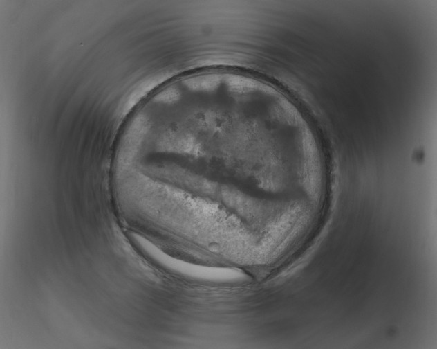 X0000116631121200912312154