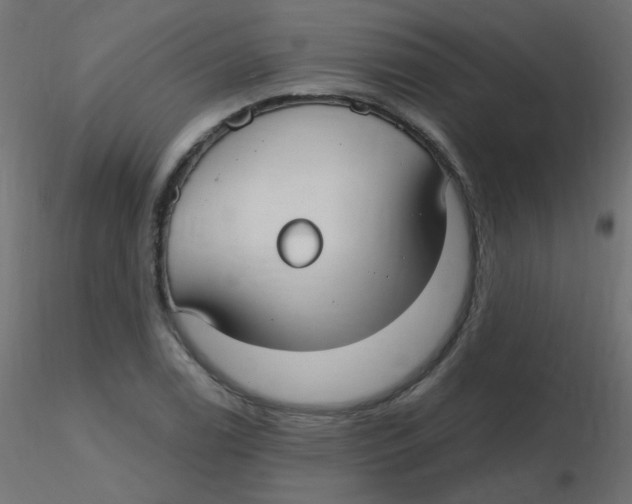 X0000116631122200912312154