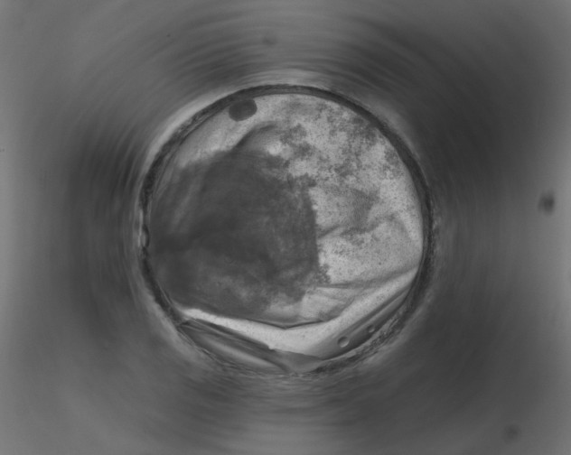 X0000116631125200912312154