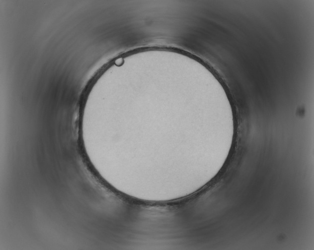 X0000116631126200912312154