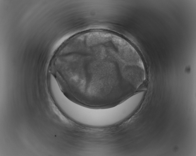 X0000116631127200912312154