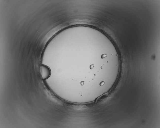 X0000116631129200912312154