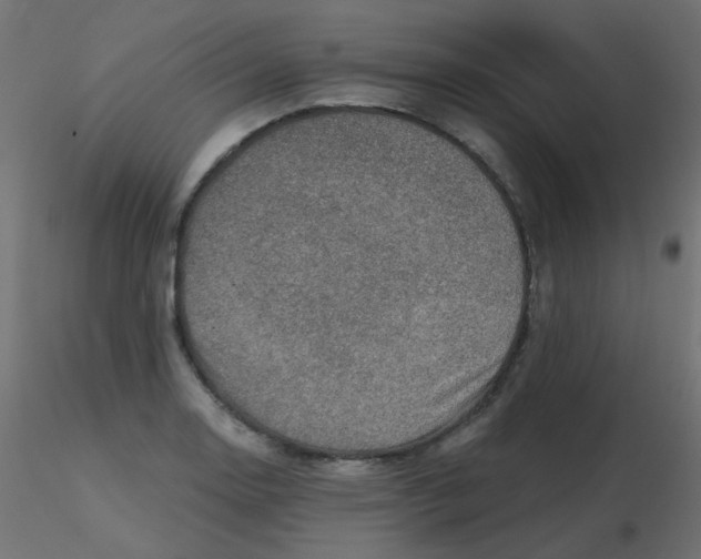 X0000116631130200912312154