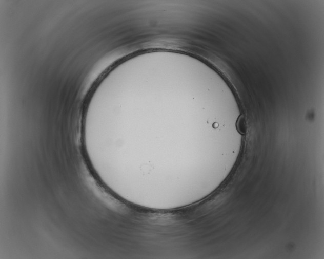 X0000116631131200912312154