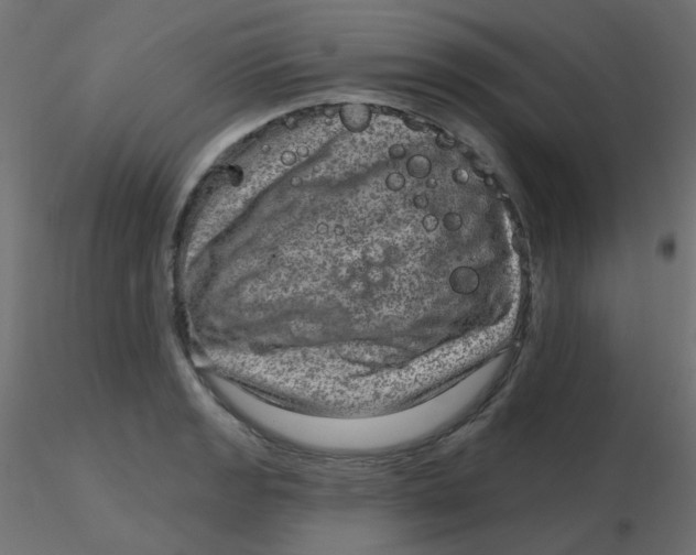 X0000116631133200912312154