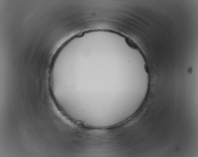 X0000116631134200912312154