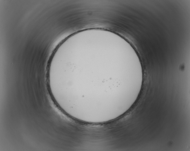X0000116631135200912312154