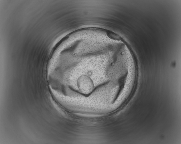 X0000116631137200912312154