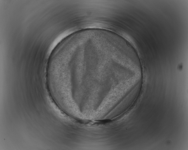 X0000116631138200912312154