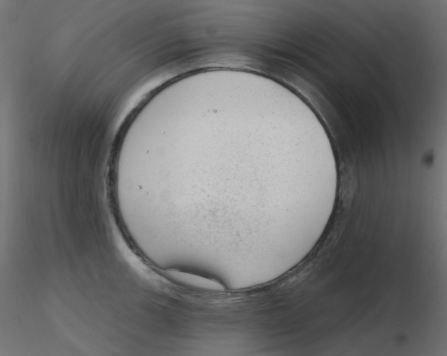 X0000116631139200912312154