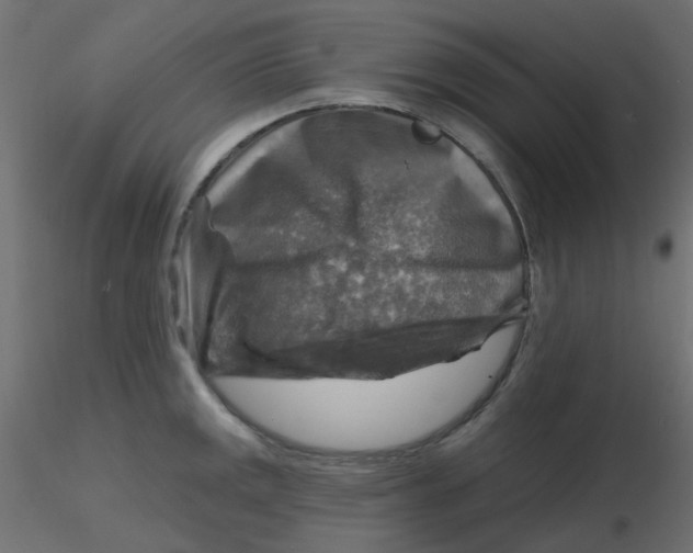 X0000116631141200912312154