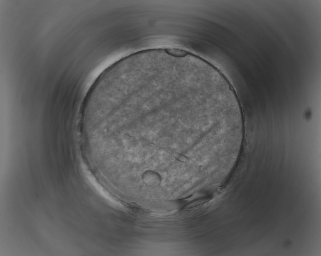 X0000116631142200912312154