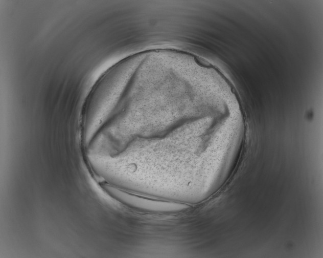 X0000116631143200912312154