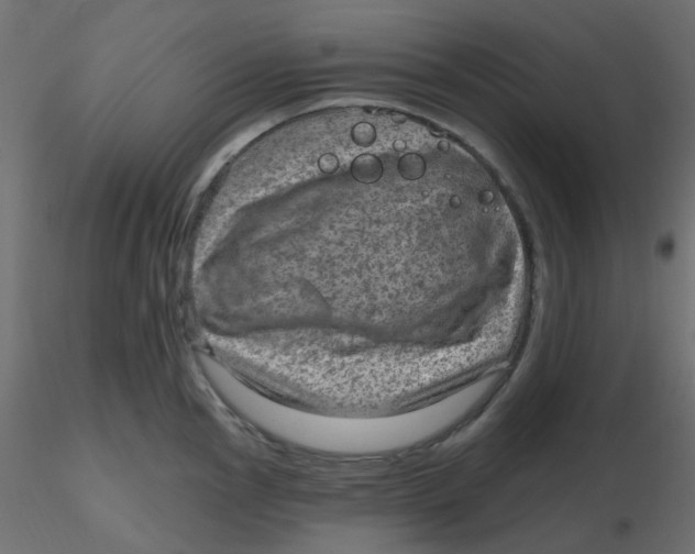 X0000116631145200912312154