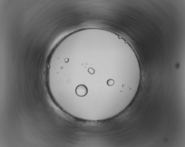 X0000116631147200912312154