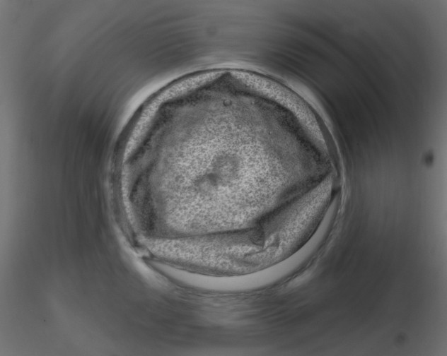 X0000116631149200912312154