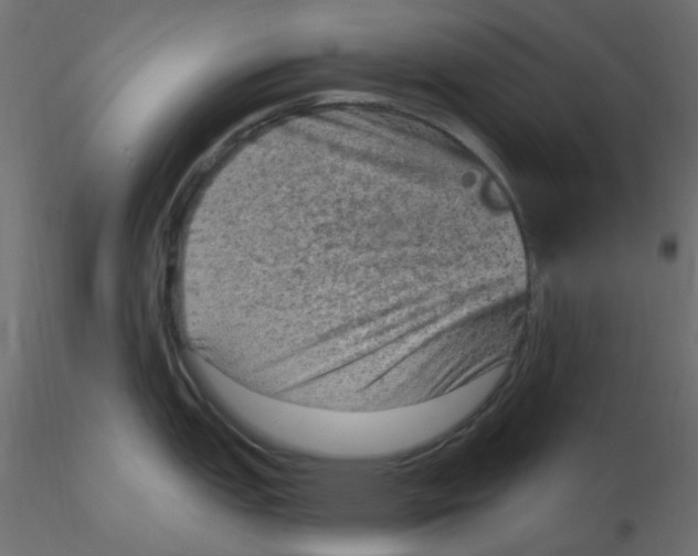 X0000116631151200912312154