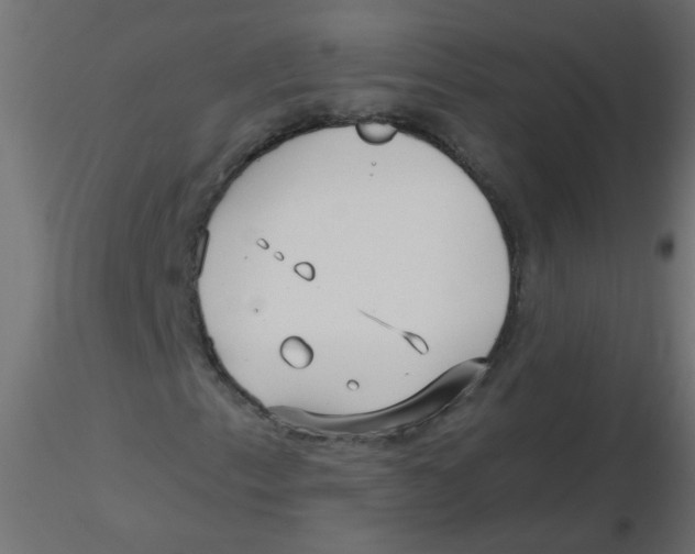 X0000116631153200912312154
