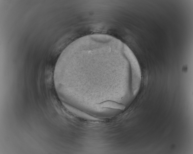 X0000116631154200912312154