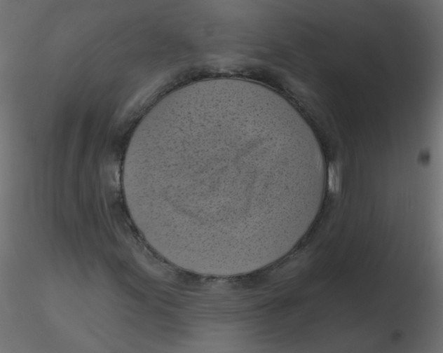 X0000116631155200912312154