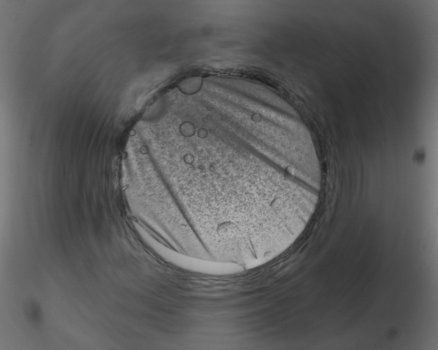 X0000116631156200912312154