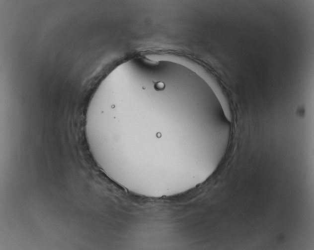 X0000116631157200912312154