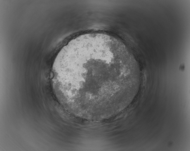 X0000116631158200912312154