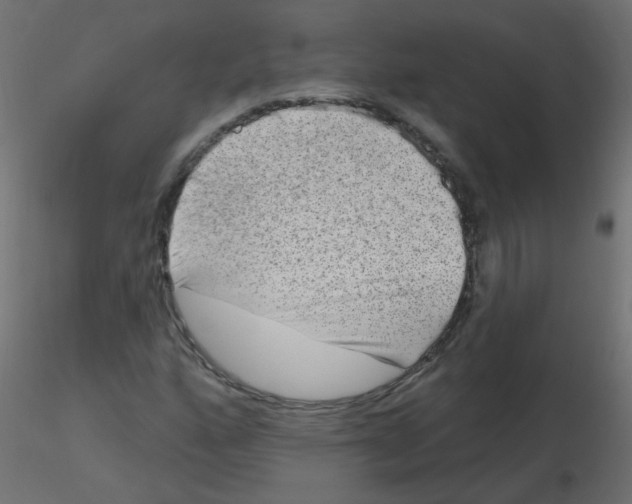 X0000116631160200912312154