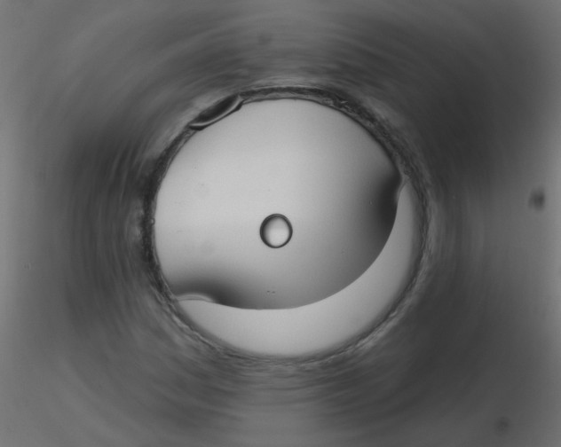 X0000116631161200912312154