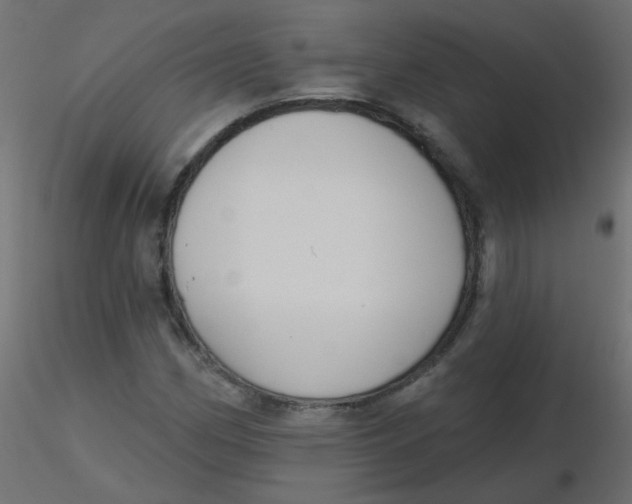 X0000116631162200912312154